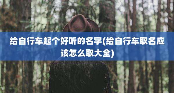 给自行车起个好听的名字(给自行车取名应该怎么取大全)
