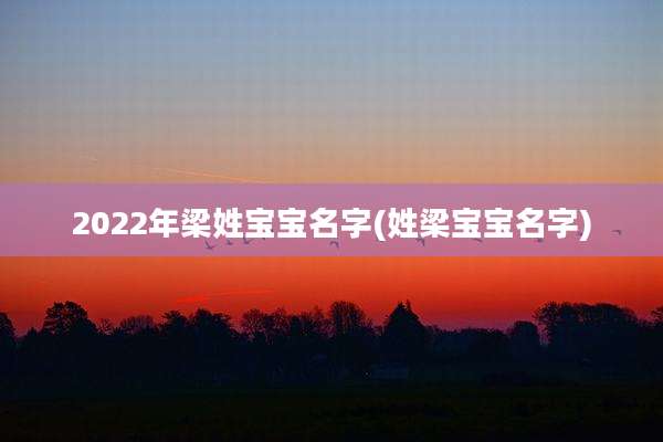 2022年梁姓宝宝名字(姓梁宝宝名字)