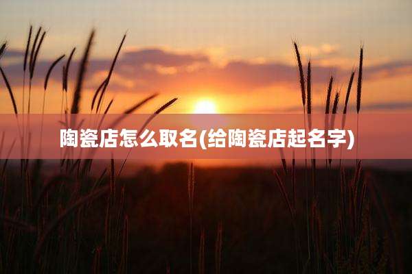 陶瓷店怎么取名(给陶瓷店起名字)