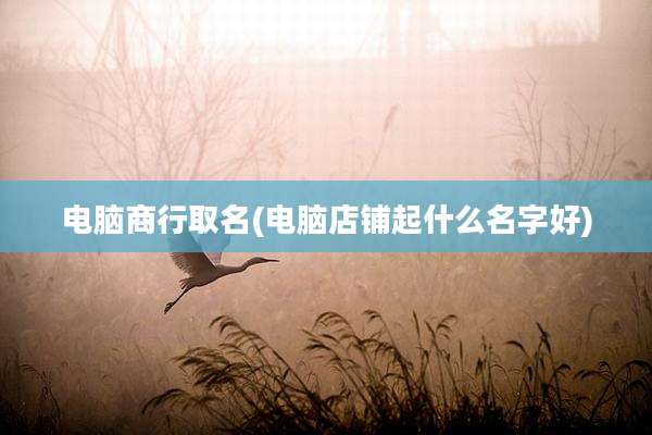 电脑商行取名(电脑店铺起什么名字好)