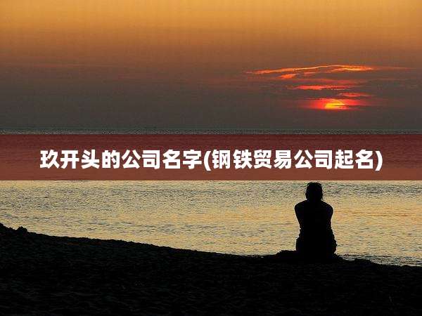 玖开头的公司名字(钢铁贸易公司起名)