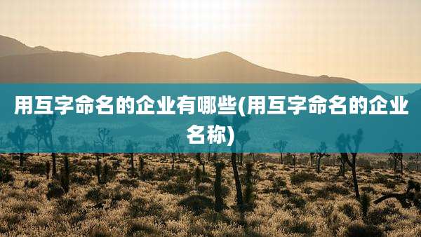 用互字命名的企业有哪些(用互字命名的企业名称)