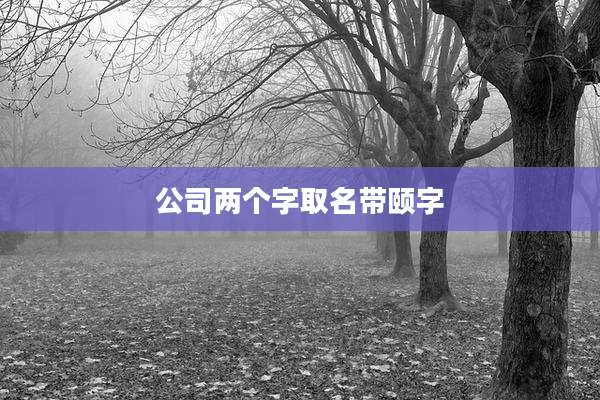 公司两个字取名带颐字