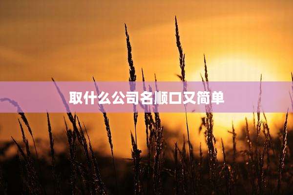 取什么公司名顺口又简单