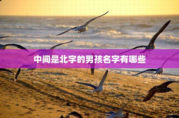 中间是北字的男孩名字有哪些
