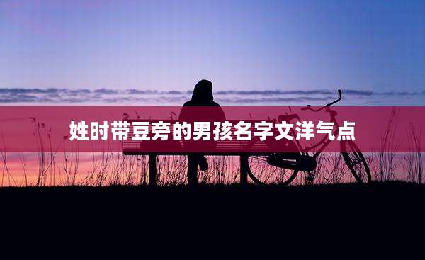 姓时带豆旁的男孩名字文洋气点