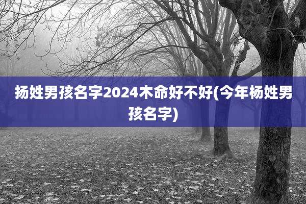 扬姓男孩名字2024木命好不好(今年杨姓男孩名字)