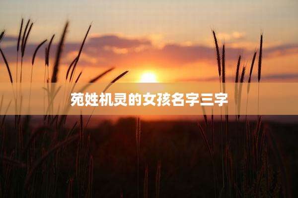 苑姓机灵的女孩名字三字