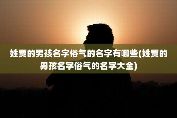 姓贾的男孩名字俗气的名字有哪些(姓贾的男孩名字俗气的名字大全)