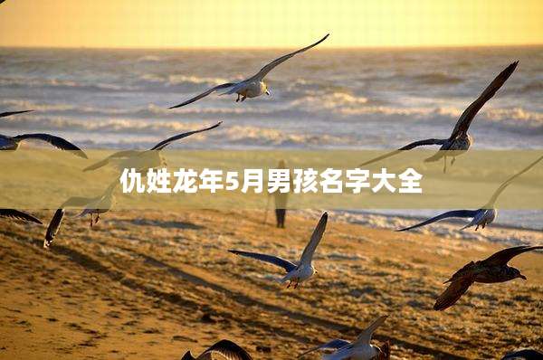 仇姓龙年5月男孩名字大全