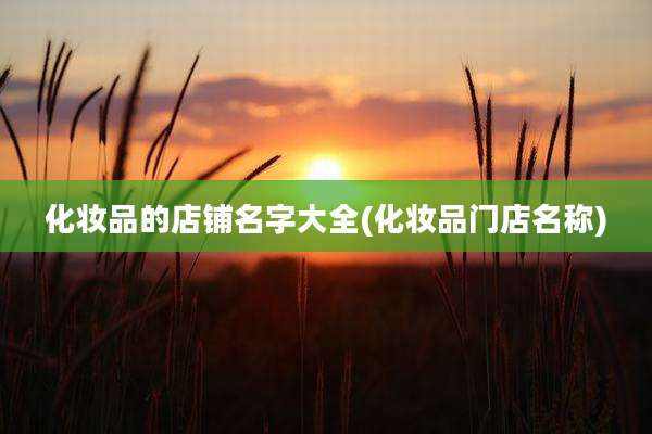 化妆品的店铺名字大全(化妆品门店名称)