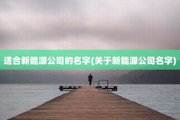 适合新能源公司的名字(关于新能源公司名字)