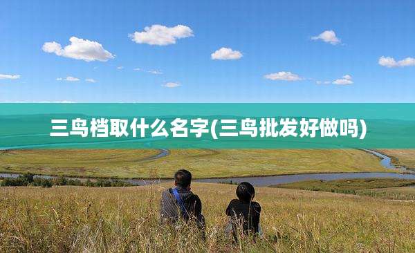 三鸟档取什么名字(三鸟批发好做吗)