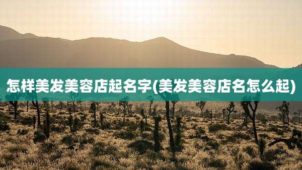怎样美发美容店起名字(美发美容店名怎么起)