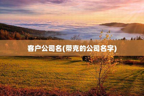 客户公司名(带克的公司名字)