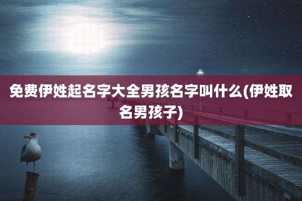 免费伊姓起名字大全男孩名字叫什么(伊姓取名男孩子)