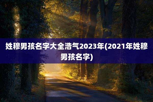 姓穆男孩名字大全浩气2023年(2021年姓穆男孩名字)