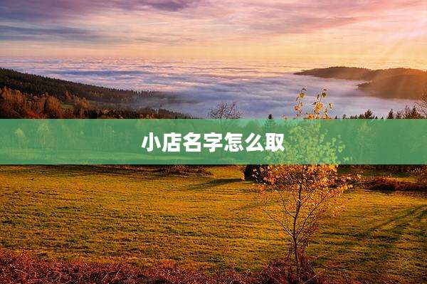 小店名字怎么取