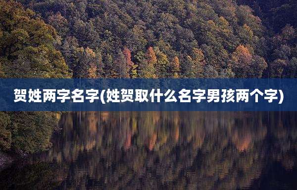 贺姓两字名字(姓贺取什么名字男孩两个字)