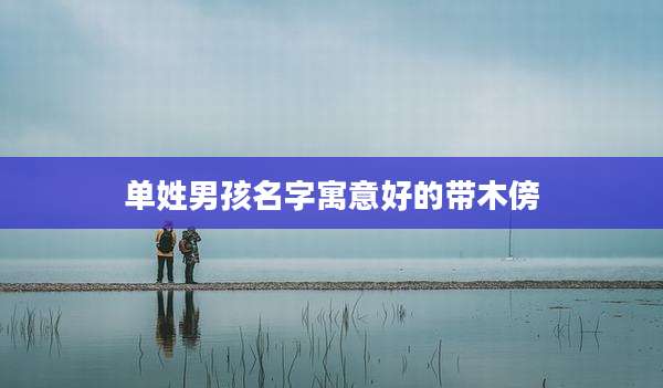 单姓男孩名字寓意好的带木傍