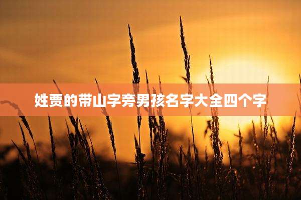 姓贾的带山字旁男孩名字大全四个字