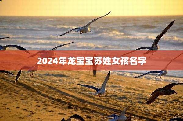 2024年龙宝宝苏姓女孩名字