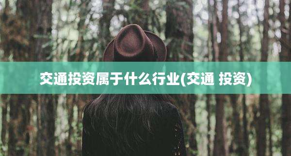 交通投资属于什么行业(交通 投资)