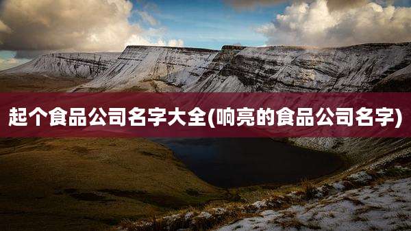 起个食品公司名字大全(响亮的食品公司名字)