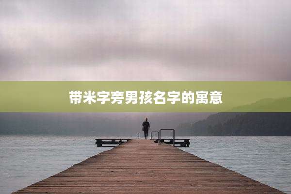 带米字旁男孩名字的寓意