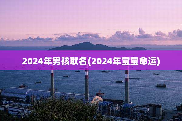 2024年男孩取名(2024年宝宝命运)