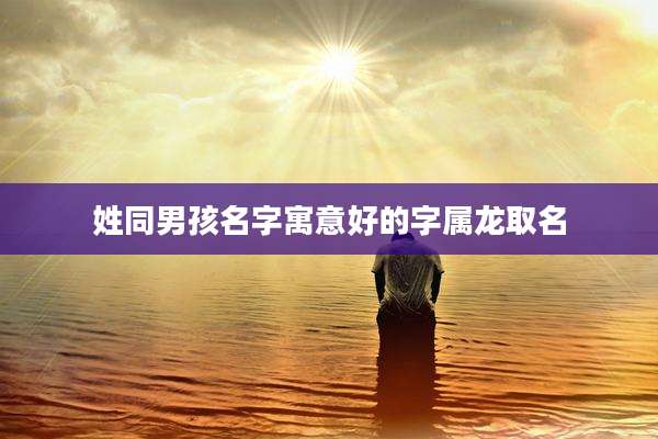 姓同男孩名字寓意好的字属龙取名