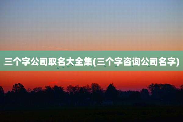 三个字公司取名大全集(三个字咨询公司名字)