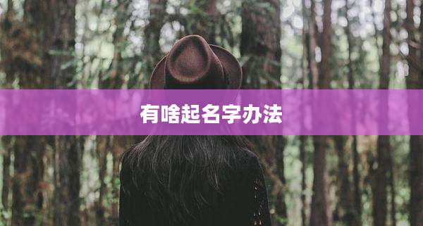 有啥起名字办法