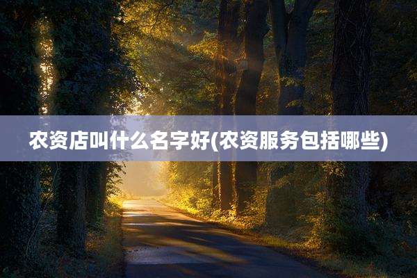 农资店叫什么名字好(农资服务包括哪些)