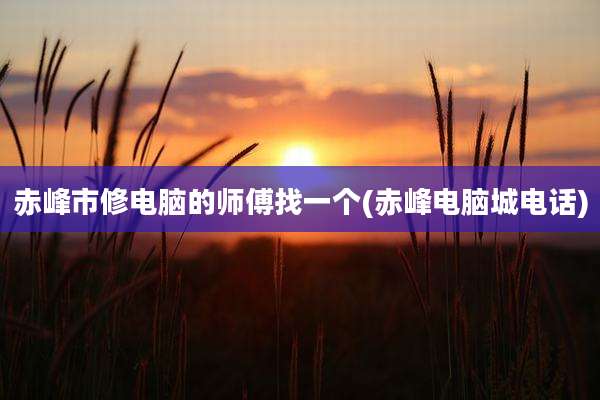 赤峰市修电脑的师傅找一个(赤峰电脑城电话)