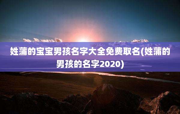 姓蒲的宝宝男孩名字大全免费取名(姓蒲的男孩的名字2020)