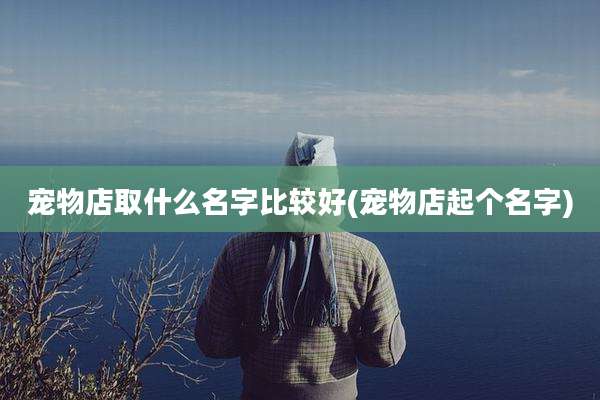 宠物店取什么名字比较好(宠物店起个名字)