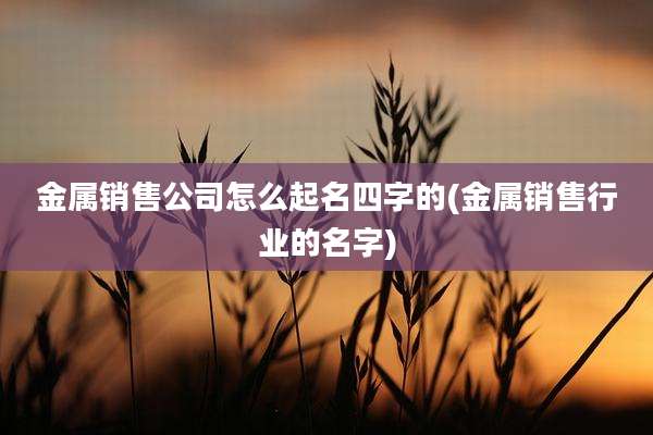 金属销售公司怎么起名四字的(金属销售行业的名字)