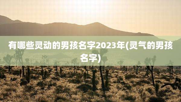 有哪些灵动的男孩名字2023年(灵气的男孩名字)