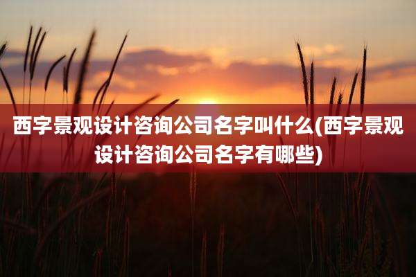 西字景观设计咨询公司名字叫什么(西字景观设计咨询公司名字有哪些)
