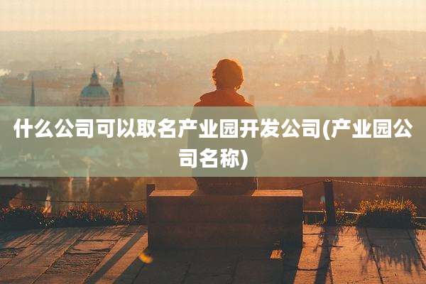 什么公司可以取名产业园开发公司(产业园公司名称)