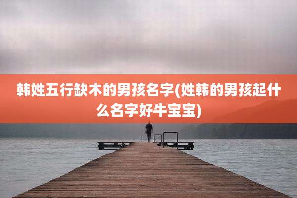 韩姓五行缺木的男孩名字(姓韩的男孩起什么名字好牛宝宝)