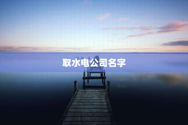 取水电公司名字