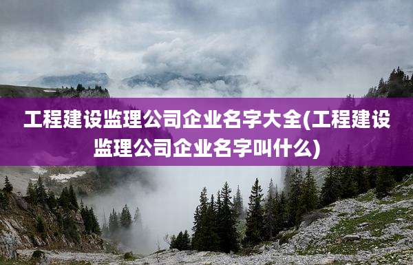 工程建设监理公司企业名字大全(工程建设监理公司企业名字叫什么)