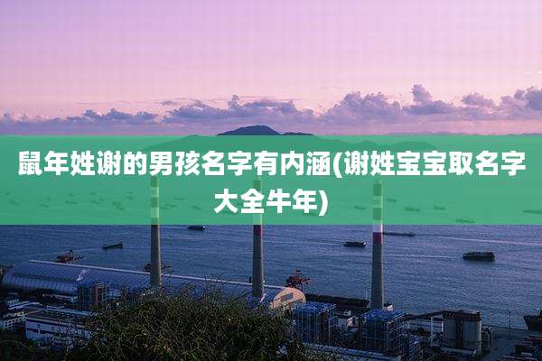 鼠年姓谢的男孩名字有内涵(谢姓宝宝取名字大全牛年)