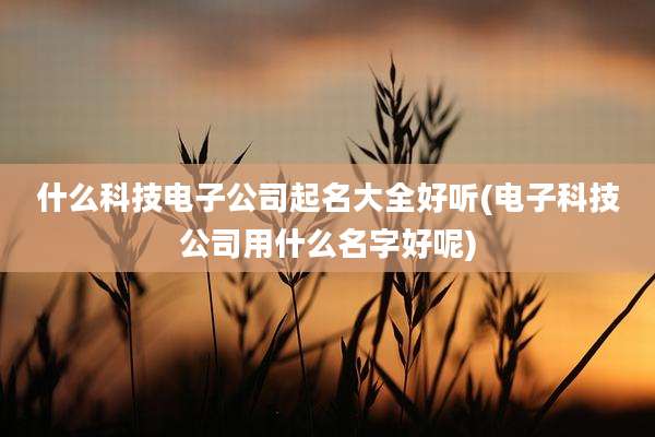 什么科技电子公司起名大全好听(电子科技公司用什么名字好呢)