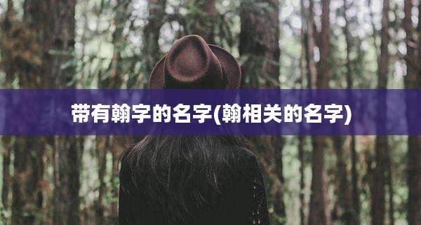 带有翰字的名字(翰相关的名字)