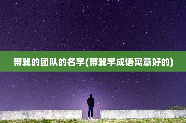带翼的团队的名字(带翼字成语寓意好的)