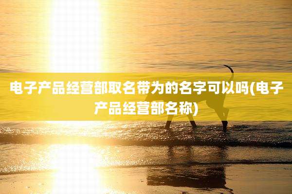 电子产品经营部取名带为的名字可以吗(电子产品经营部名称)