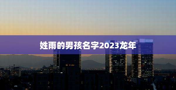 姓雨的男孩名字2023龙年